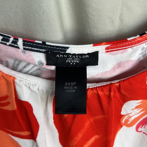 Ann Taylor Factory Summer Dress XXSP NWT - Picture 3 of 5